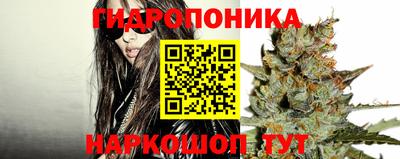 шишки Первоуральск