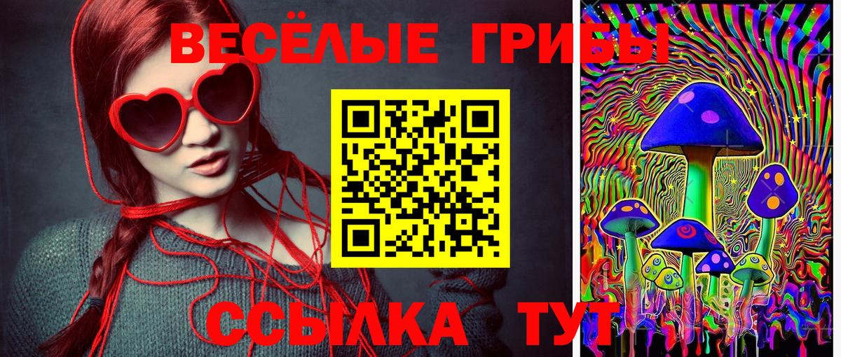 Псилоцибиновые грибы Psilocybine cubensis Рославль