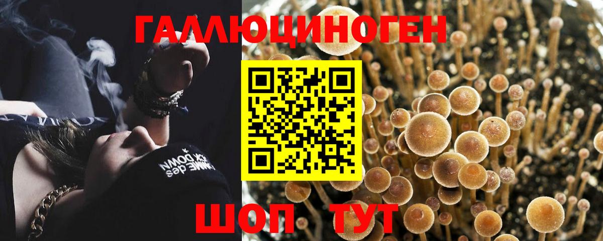 Псилоцибиновые грибы MAGIC MUSHROOMS  Вход с VPN  Рославль 